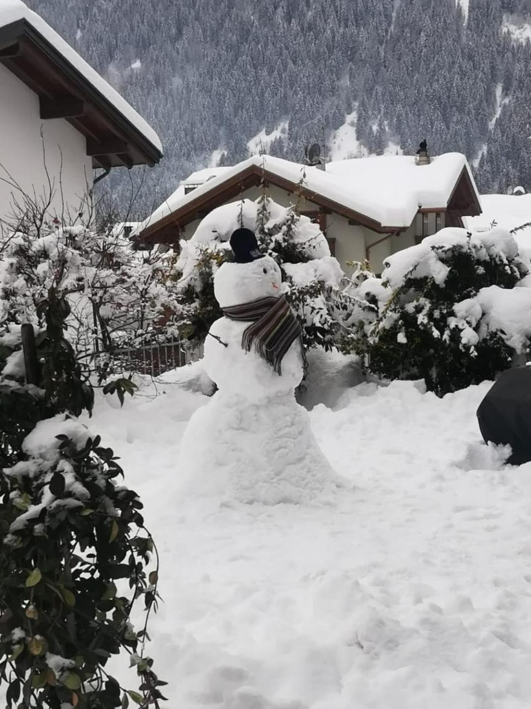 Appartamento Con Giardino Carisolo Zewnętrze zdjęcie