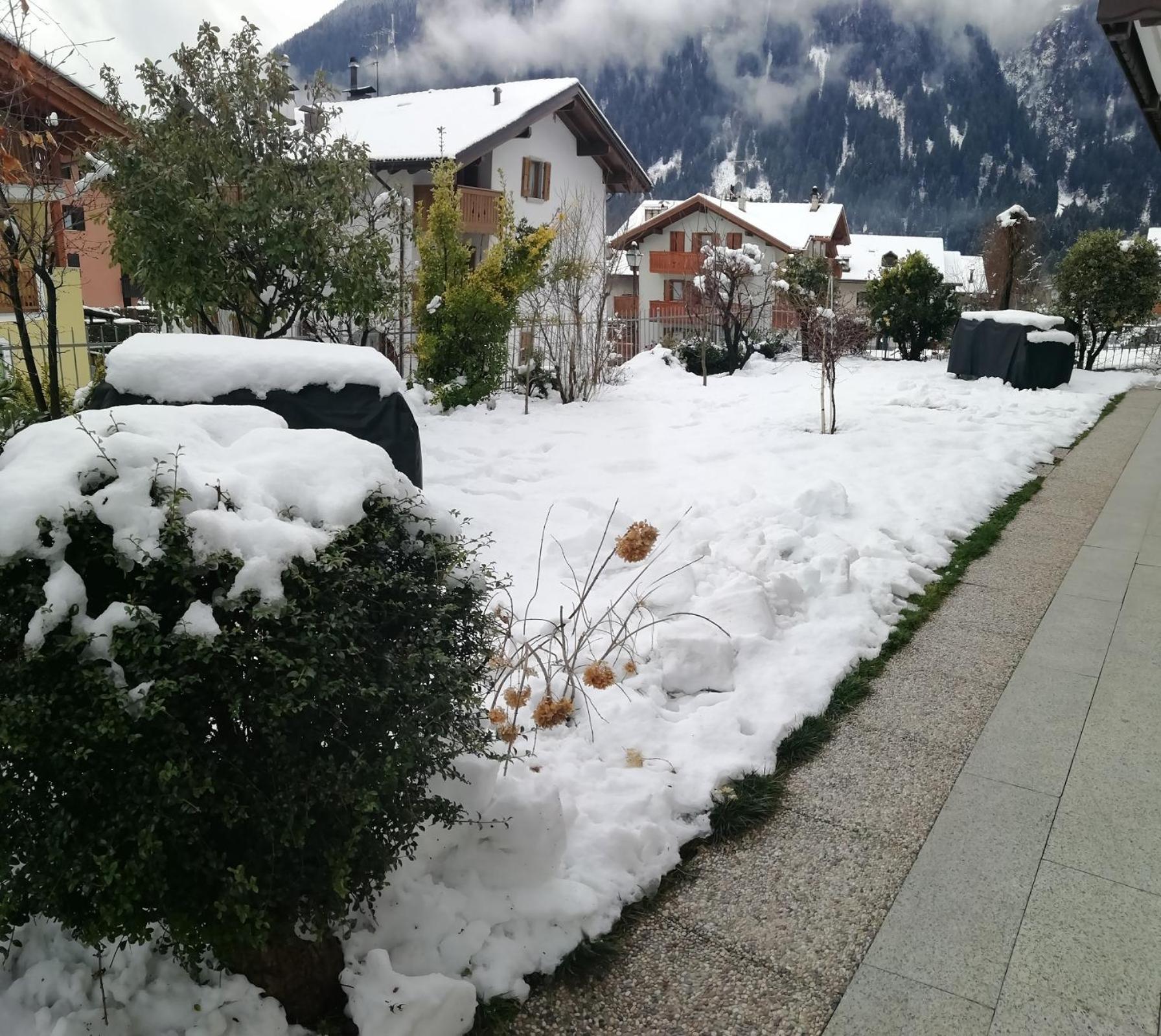 Appartamento Con Giardino Carisolo Zewnętrze zdjęcie