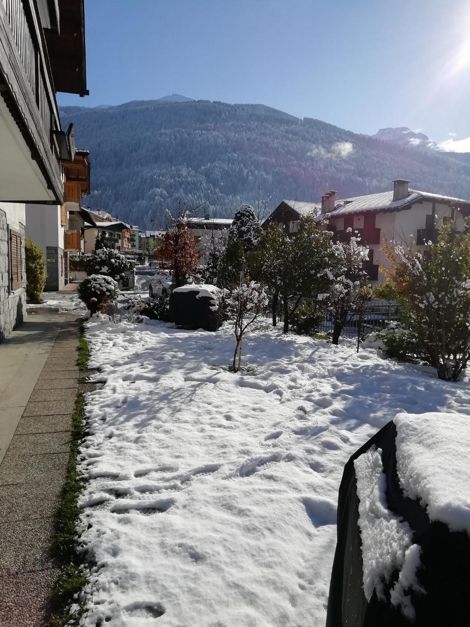 Appartamento Con Giardino Carisolo Zewnętrze zdjęcie