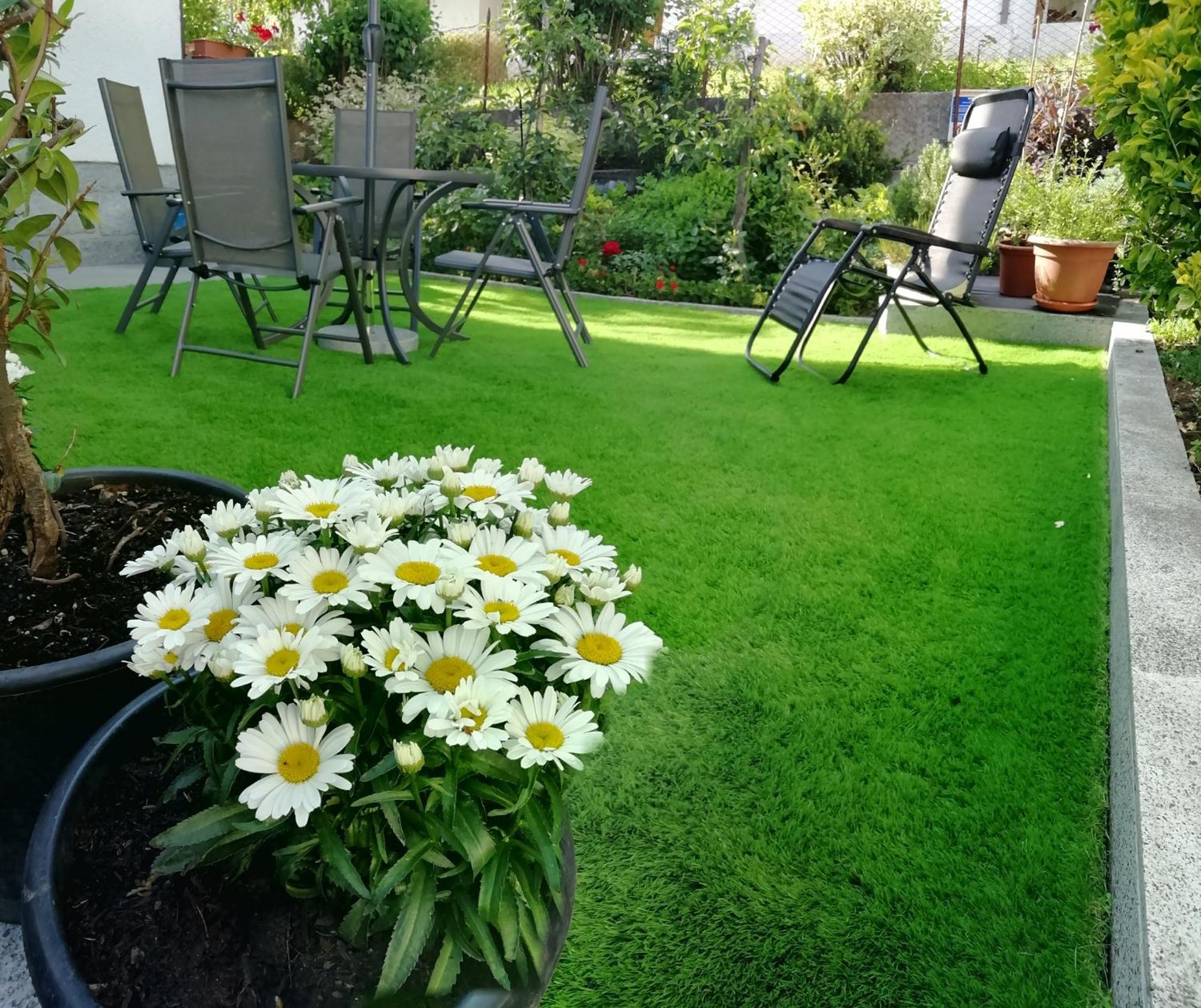 Appartamento Con Giardino Carisolo Zewnętrze zdjęcie